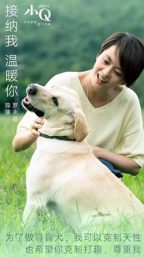 怎么买梅哈里医学院文凭